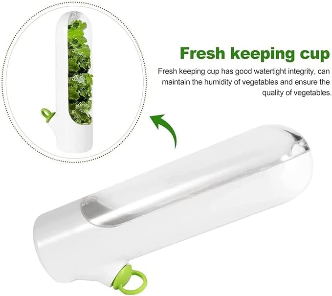 Herb Storage Container