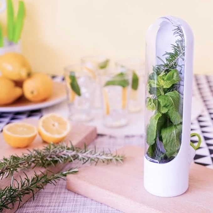 Herb Storage Container